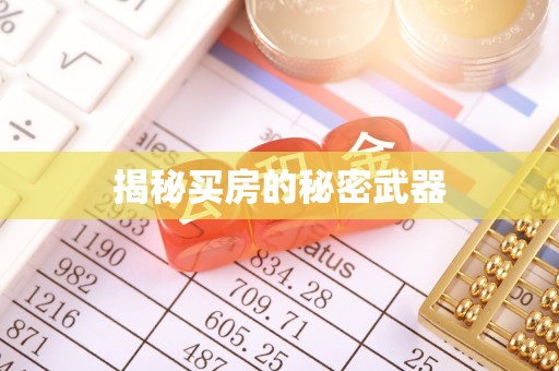 汕头揭秘买房的秘密武器